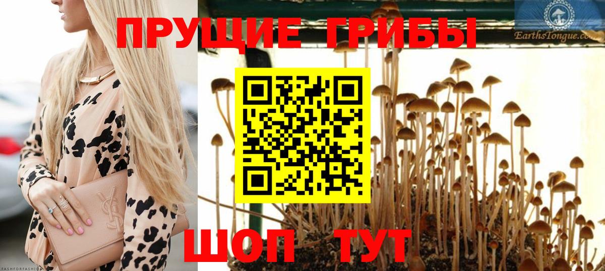Галлюциногенные грибы GOLDEN TEACHER  Вход с VPN  Амурск 